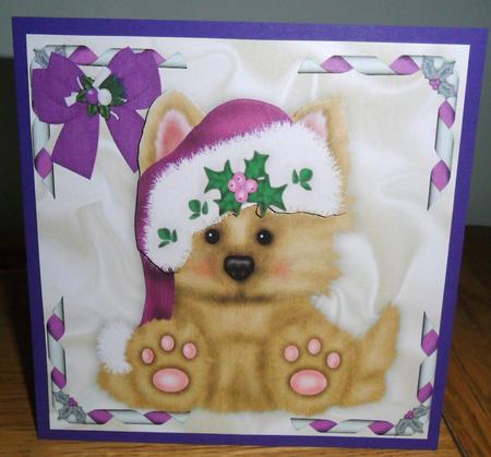 Cute Little Westie in Purple Santa Hat by Johanna Lambert