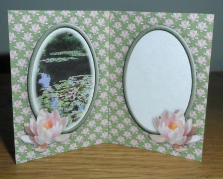 Pink Water Lily Blank Insert by Johanna Lambert