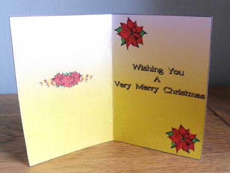 Christmas Poinsettia Insert 1 by Johanna Lambert
