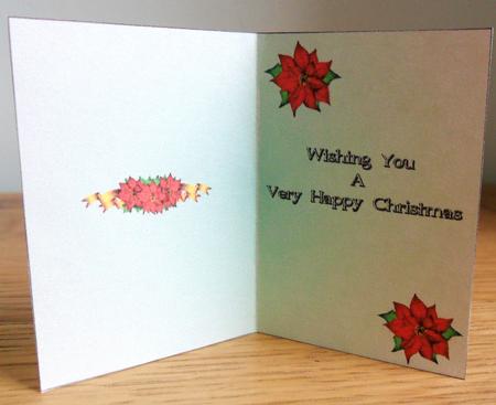 Christmas Poinsettia Insert 3 by Johanna Lambert