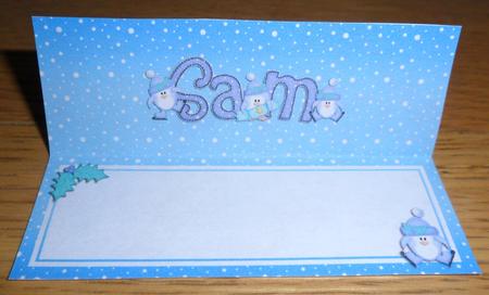 Xmas Sam Matching Large Dl Insert by Johanna Lambert