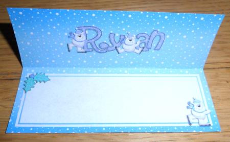 Xmas Ryan Matching Large Dl Insert by Johanna Lambert