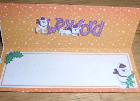 Xmas Wexford Matching Large Dl Insert by Johanna Lambert