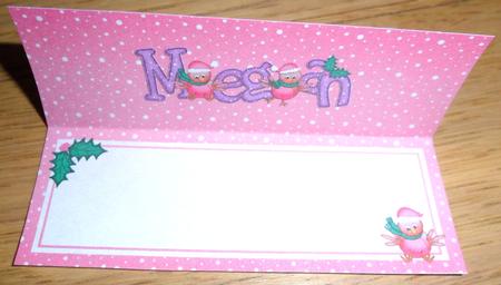 Xmas Megan Matching Large Dl Insert by Johanna Lambert