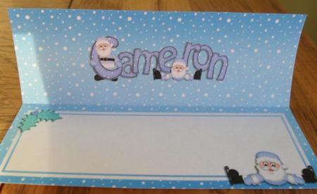 Xmas Cameron Matching Large Dl Insert by Johanna Lambert