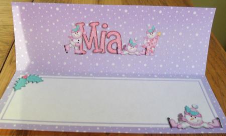 Xmas Mia Matching Large Dl Insert by Johanna Lambert