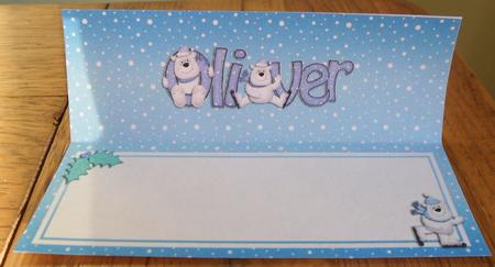 Xmas Oliver Matching Large Dl Insert by Johanna Lambert