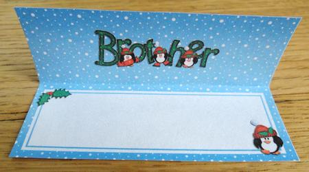 Xmas Brother Matching Large Dl Insert by Johanna Lambert