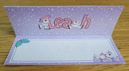 Xmas Leah Matching Large Dl Insert by Johanna Lambert