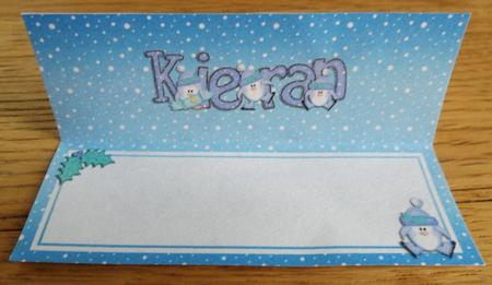 Xmas Kieran Matching Large Dl Insert by Johanna Lambert