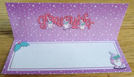 Xmas Granddaughter Matching Large Dl Insert by Johanna Lambert