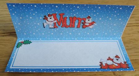Xmas Mum Matching Large Dl Insert by Johanna Lambert