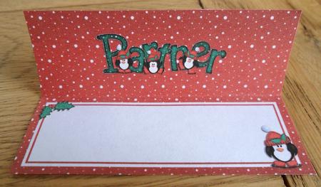 Xmas Partner Matching Large Dl Insert by Johanna Lambert