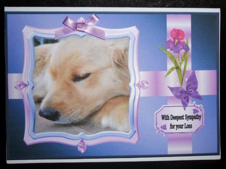 Dog Sympathy A4 by Johanna Lambert