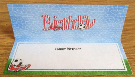 Happy Birthday Matching Large Dl Insert by Johanna Lambert