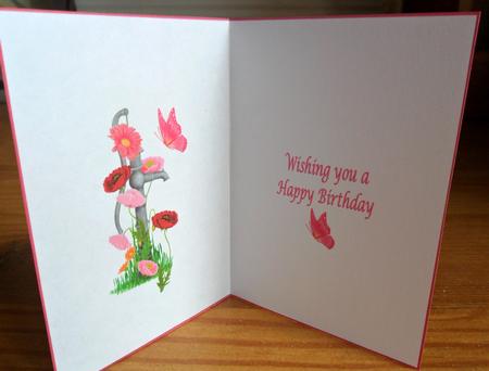 Pretty Butterfly Insert by Johanna Lambert