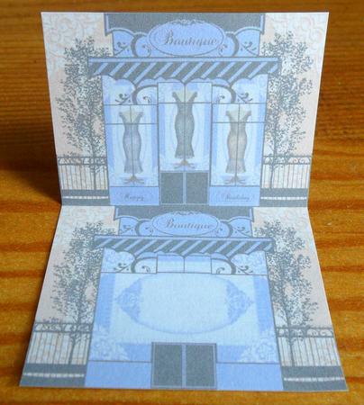 Evening Dress Boutique Insert by Johanna Lambert