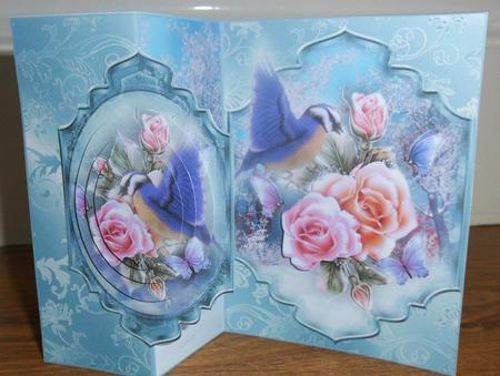 No Holes Fold Card Roses in Winter by Johanna Lambert