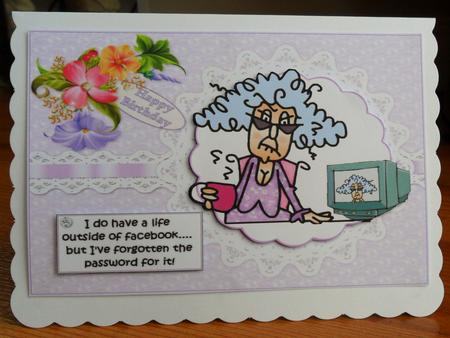 Stella Has Forgotten Her Password Quick Card by Johanna Lambert