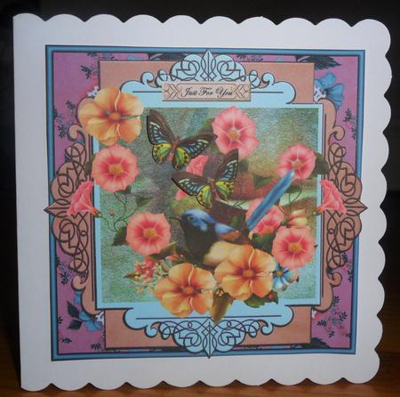 Shield Birds and Butterflies 2 by Johanna Lambert