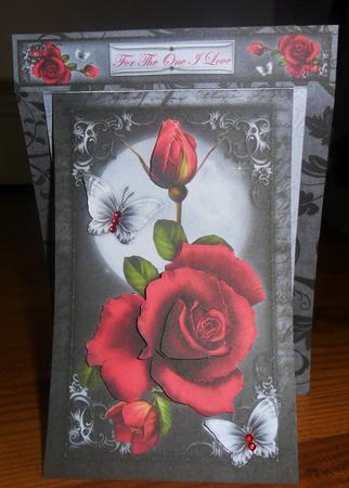 3 in 1 Moonlit Roses by Johanna Lambert