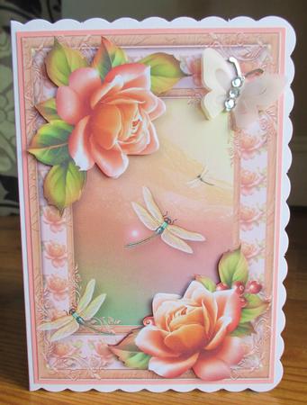 Pastel Sunset Roses & Dragonflies by Johanna Lambert