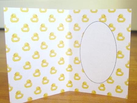 Baby Duck Toys Insert by Johanna Lambert
