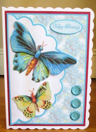 Lucky Butterflies by Johanna Lambert