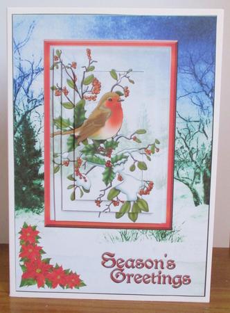 Season's Greeting Robin by Johanna Lambert