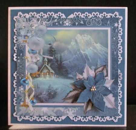 Blue Poinsettia by Johanna Lambert