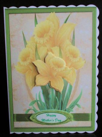 Lovely Daffodill's Standing Proud A5 by Johanna Lambert