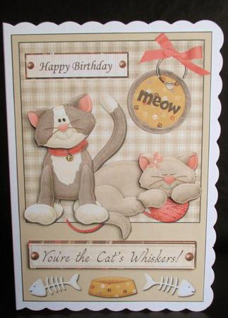 A5 Birthday Card Front You're the Cats Whiskers by Johanna Lambert