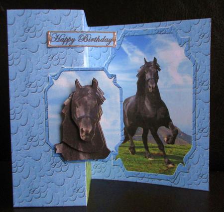 Black Beauty No Hole Back Fold Card by Johanna Lambert
