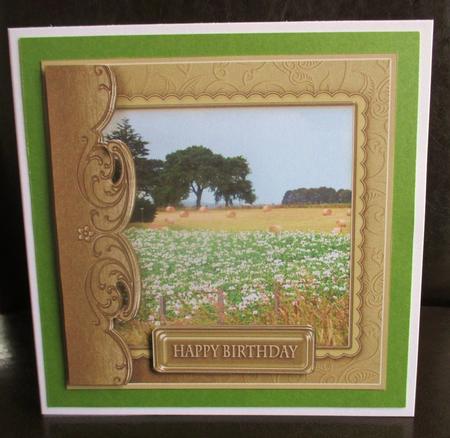 Hay Bales in a Mustard Frame 8in x 8in Quick Card by Johanna Lambert