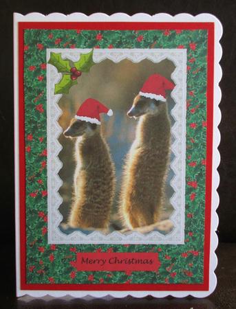 Merry Xmas from the Meerkats by Johanna Lambert