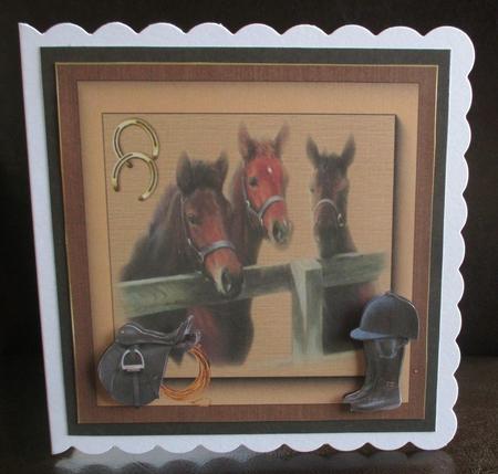 8x8 Lets Go Horse Riding by Johanna Lambert