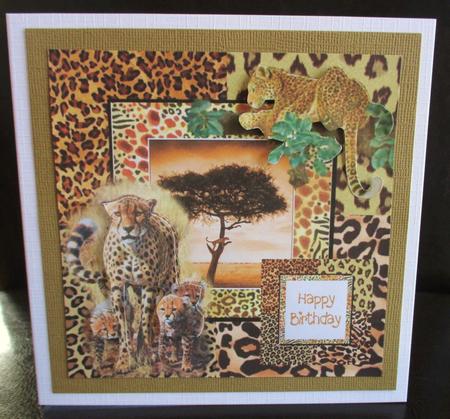 Cheetahs and Leopard 8x8 by Johanna Lambert