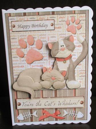 Happy Birthday You're the Cats Whiskers by Johanna Lambert