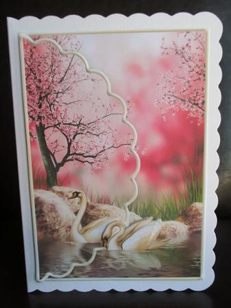 Swans in Love in the Orient Scalloped Edge Envelope Card by Johanna Lambert