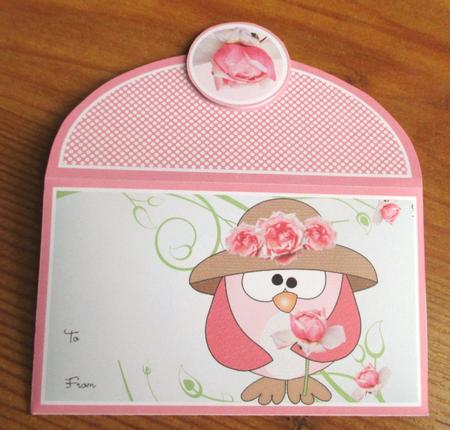 Friends Owlways Money Wallet by Johanna Lambert