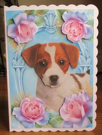 Cute Jack Russel in Blue Roses by Johanna Lambert