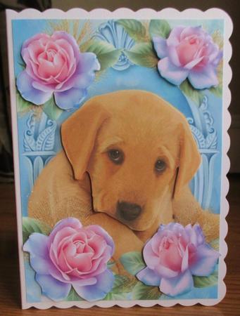 Gorgeous Labrador Puppy in Blue Roses by Johanna Lambert