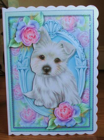 Lovely Cute Westie with Roses  by Johanna Lambert