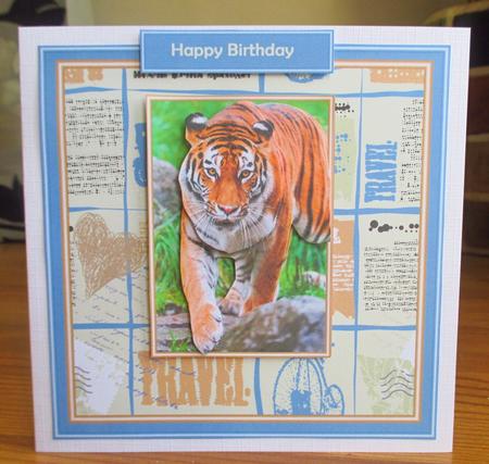 See the World - Siberian Tiger by Johanna Lambert