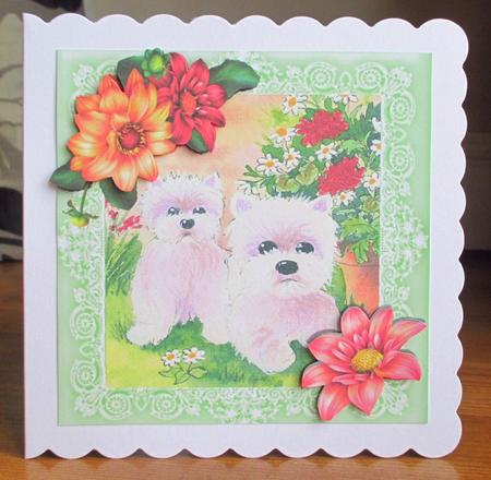 Westies in the Garden with Pretty Corner Flowers 8x8 by Johanna Lambert