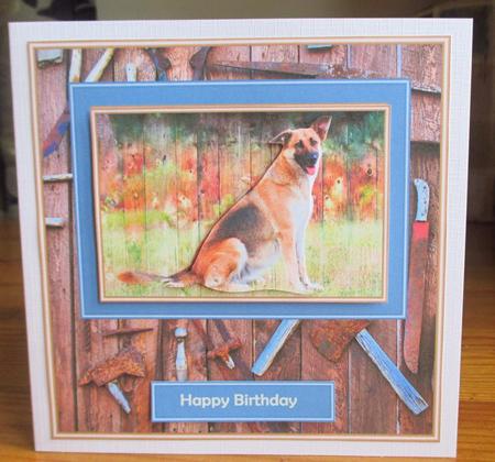 The Old Toolshed - German Sheperd by Johanna Lambert