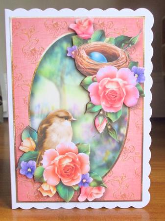 Bird, Nest & Spring Roses by Johanna Lambert