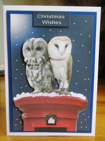 Owl Pair on a Christmas Post Box 3D Decoupage by Johanna Lambert