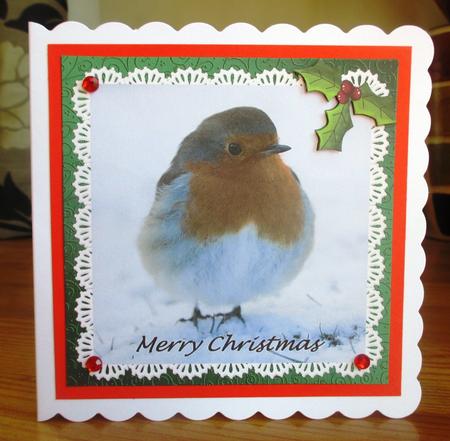 Beautiful 8x8 Robin Quick Card by Johanna Lambert