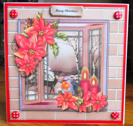 Christmas Window & Poinsettias by Johanna Lambert